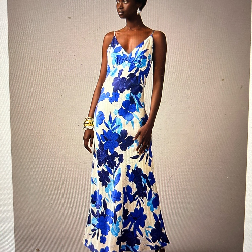 STUNNING Limited Edition J. Crew Collection Blue Floral Maxi Dress